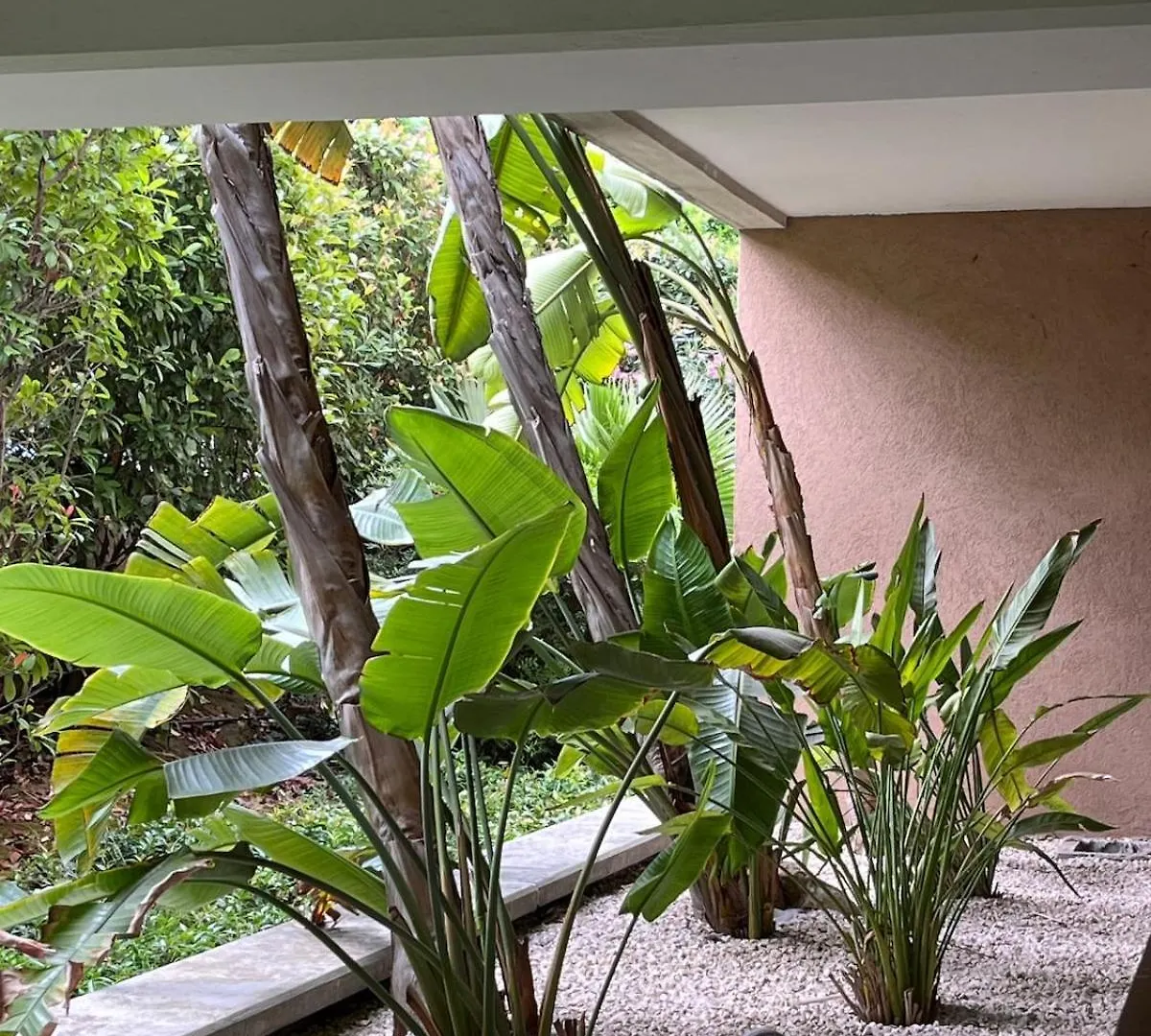 Studio Centre Cannes, Piscine, Climatisation 法国
